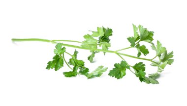 Beyaz arkaplanda taze maydanoz