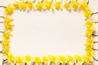 Işık arkaplanındaki güzel nergislerden yapılmış çerçeve