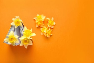 Renkli arka planda güzel nergisli kitap