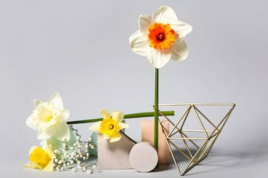 Işıklı arkaplanda güzel nergislerle yaratıcı kompozisyon