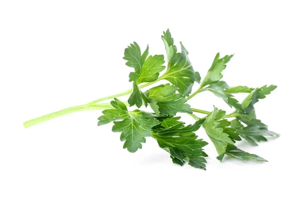 Fresh Parsley White Background — Stock Photo, Image