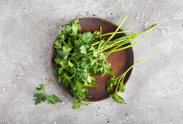 Plate Fresh Parsley Grey Background — Stock Photo, Image