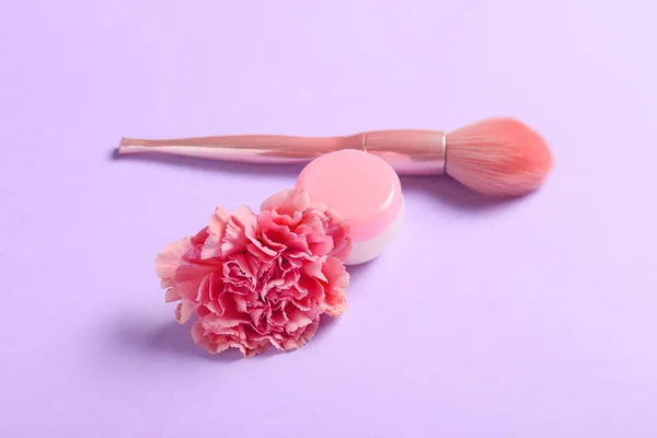 Beautiful Carnation Flower Cream Brush Color Background — Stock Photo, Image
