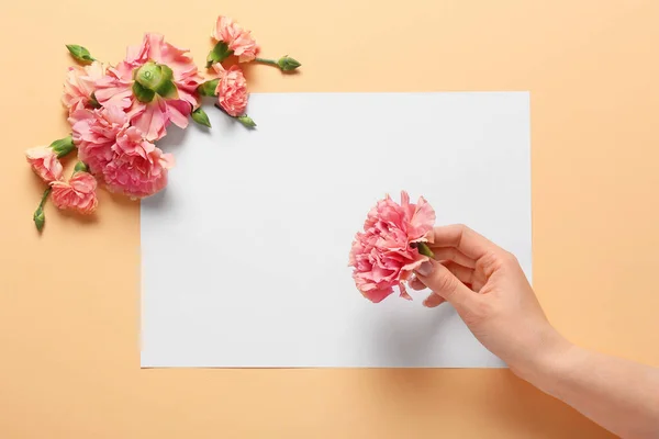 Female Hand Beautiful Carnation Flowers Blank Card Color Background — Stock Photo, Image