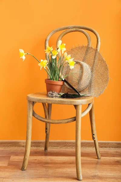Ferramentas Jardinagem Com Narciso Planta Cadeira Perto Parede Cor — Fotografia de Stock