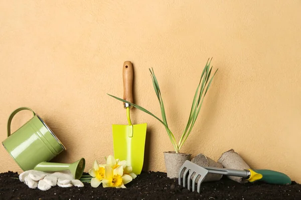 Zahradní Nástroje Narcisy Rostlina Půdě Barevném Pozadí — Stock fotografie
