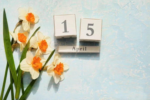 Hermosos Narcisos Calendario Sobre Fondo Color —  Fotos de Stock