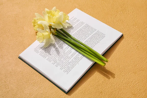 Beautiful Daffodils Book Color Background — Stock Photo, Image