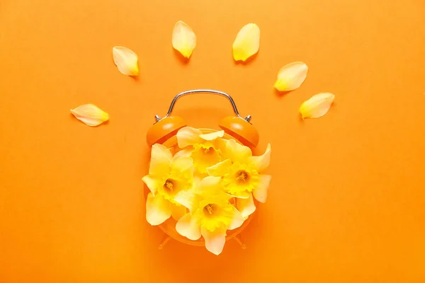 Creative Composition Alarm Clock Beautiful Daffodils Color Background — Stock Photo, Image