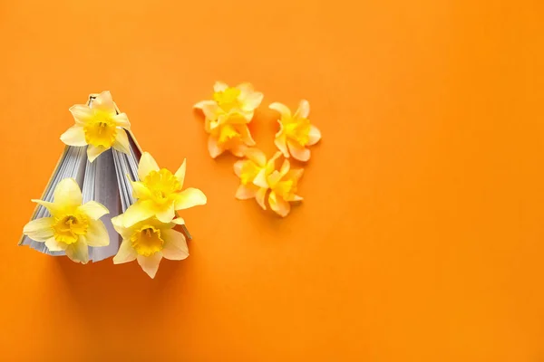 Book Beautiful Daffodils Color Background — Stock Photo, Image
