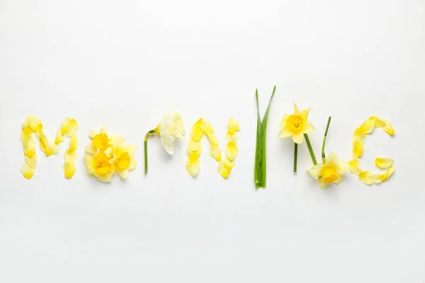 Word Morning Made Beautiful Daffodils Light Background — Stock Photo, Image