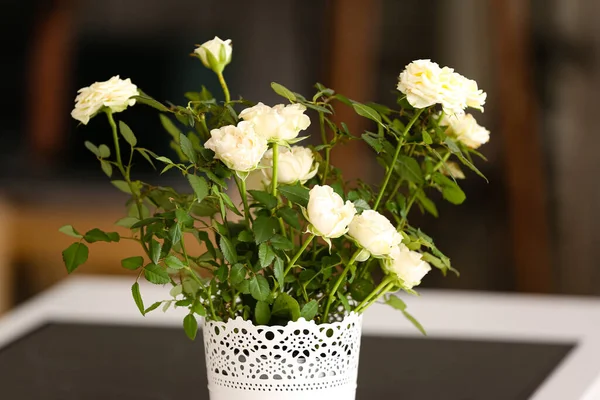 Beautiful White Roses Pot Table Room — Stock Photo, Image