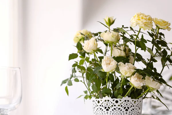 Hermosas Rosas Blancas Maceta Primer Plano —  Fotos de Stock