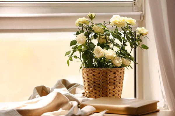 美しい白いバラのポットと窓辺の本 — ストック写真