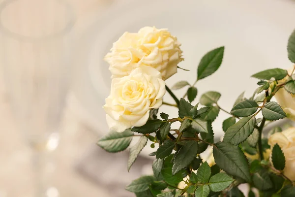Beautiful White Roses Pot Closeup — Stock Photo, Image