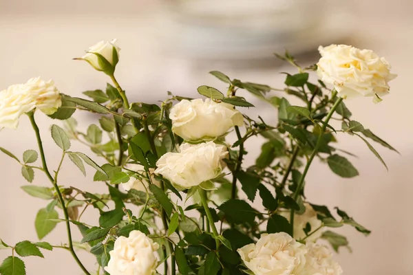 Piękne Białe Róże Garnku Zbliżenie — Zdjęcie stockowe