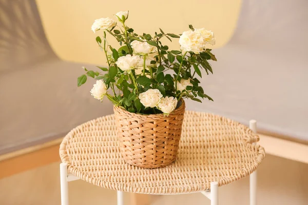 Beautiful White Roses Pot Table Room — Stock Photo, Image