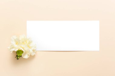 Güzel karanfil çiçeği ve arkaplanda boş kart