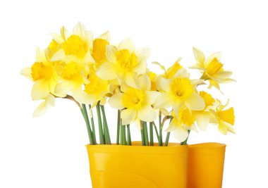 Beyaz arka planda narsist çiçekli çizmeler