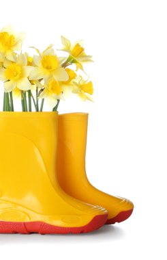 Beyaz arka planda narsist çiçekli çizmeler