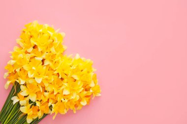 Renkli arkaplanda güzel nergisler