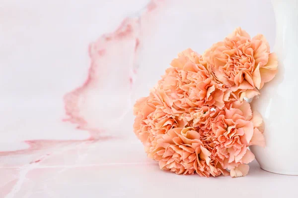 Beautiful Carnation Flowers Vase Light Background — Stock Photo, Image