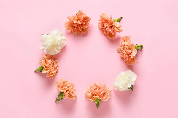 Ram Gjord Vackra Nejlika Blommor Färg Bakgrund — Stockfoto