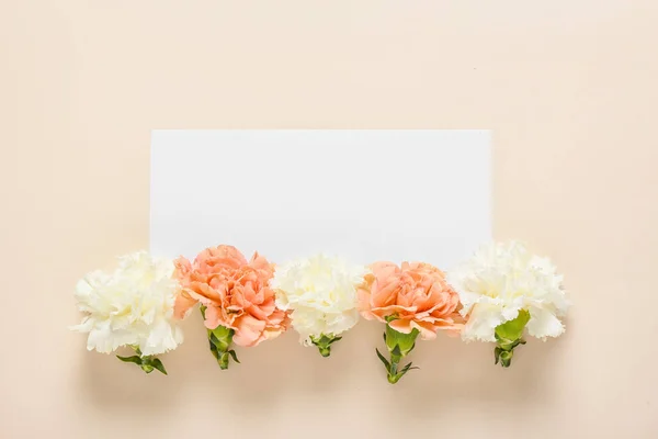 Beautiful Carnation Flowers Blank Card Color Background — Stock Photo, Image