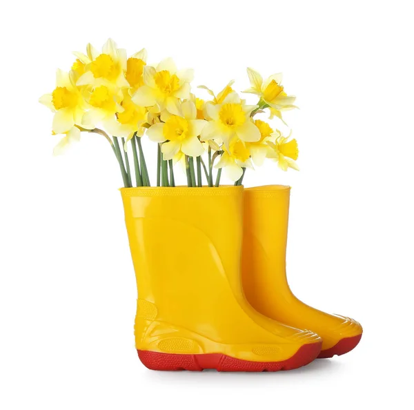 Bottes Gomme Avec Des Fleurs Narcisse Sur Fond Blanc — Photo