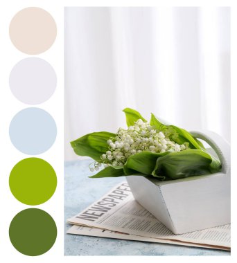 İçinde güzel çiçekli sepet ve masa üzerinde gazete var. Farklı renk desenleri