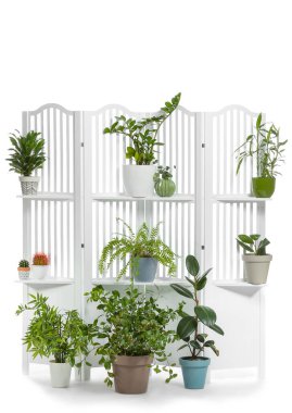 Beyaz arka planda ev bitkileri olan modern katlama ekranı