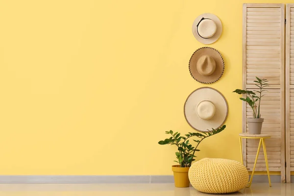 Столы Комнатными Растениями Стильными Шляпами Висящими Цветной Стене — стоковое фото