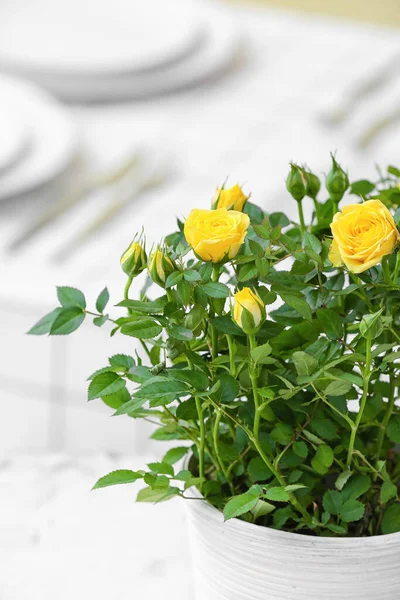 Όμορφα Κίτρινα Τριαντάφυλλα Κατσαρόλα Στο Τραπέζι Closeup — Φωτογραφία Αρχείου