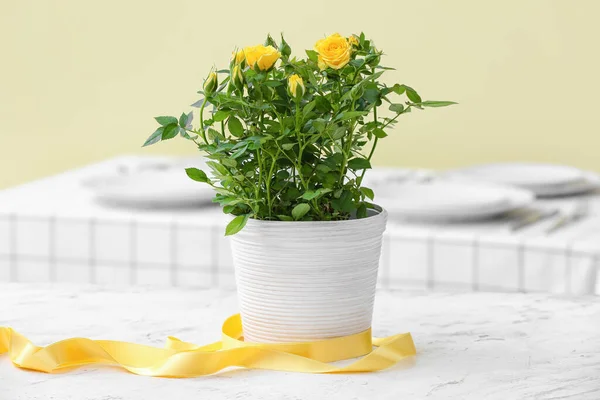 Beautiful Yellow Roses Pot Table — Stock Photo, Image