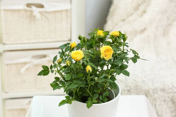 Beautiful Yellow Roses Pot Table Home — Stock Photo, Image