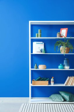 Renk duvarına yakın dekorlu modern kitap rafı