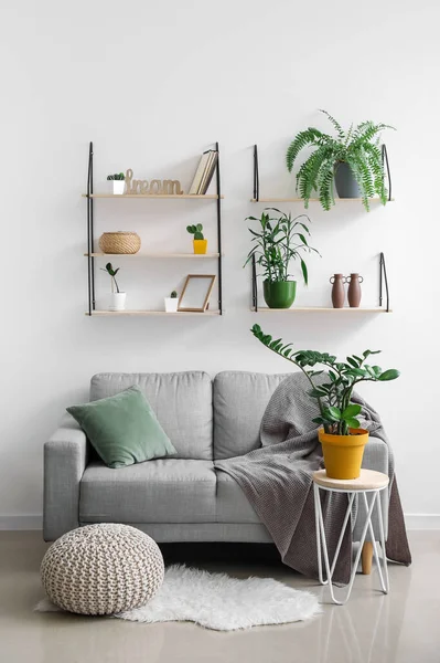 Interior Modern Room Sofa Shelves Table — Stock Photo, Image