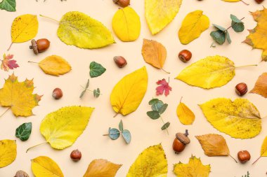Renk arkaplanındaki güzel sonbahar kompozisyonu
