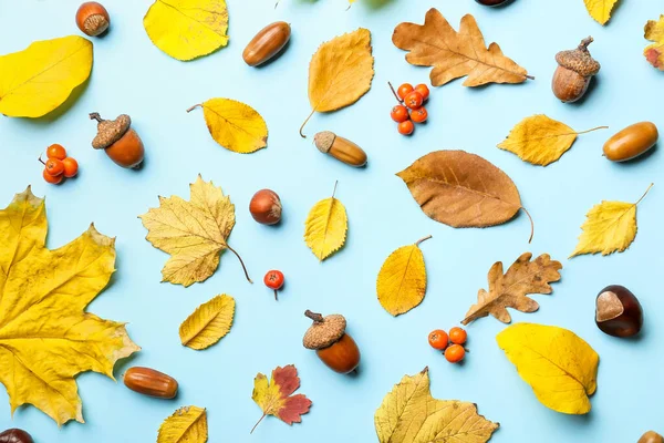 Beautiful Autumn Composition Color Background — Stock Photo, Image