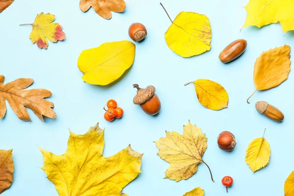 Beautiful Autumn Composition Color Background — Stock Photo, Image