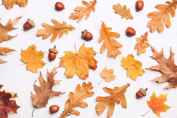 Bella Composizione Autunnale Sfondo Colori — Foto Stock