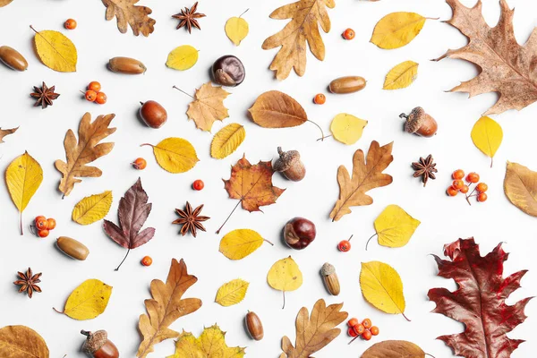 Piękna Jesienna Kompozycja Białym Tle — Zdjęcie stockowe