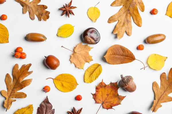 Beautiful Autumn Composition White Background — Stock Photo, Image