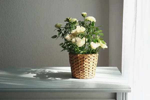 窓の近くのテーブルの上のポットの美しい白いバラ — ストック写真
