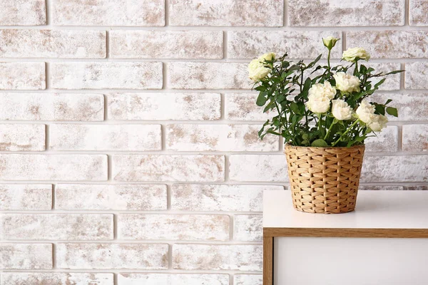 Beautiful White Roses Pot Shelf Brick Wall — Stock Photo, Image