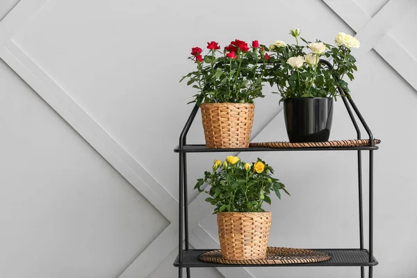 Belles Roses Dans Des Pots Sur Étagère Près Mur Léger — Photo