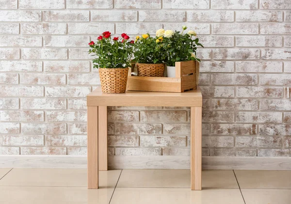 Tuğla Duvarın Yanındaki Masada Saksıda Güzel Güller — Stok fotoğraf