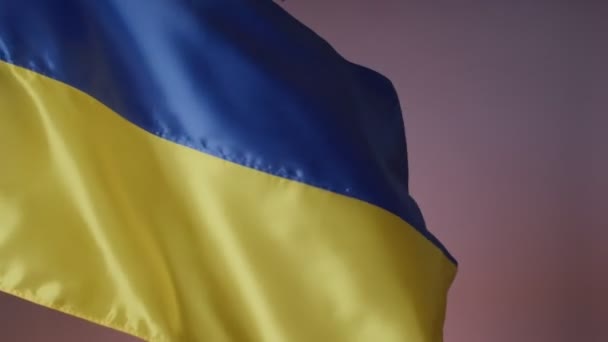 Флаг Украины Цветном Фоне — стоковое видео