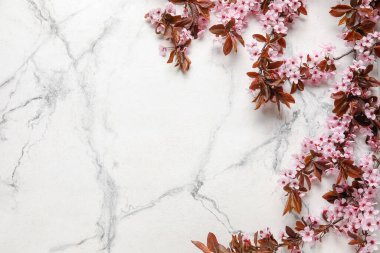 Açık arkaplanda çiçek açan güzel dallar