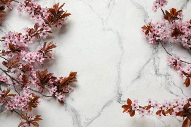 Açık arkaplanda çiçek açan güzel dallar